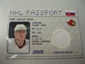 nhlpass_hossa_1