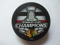 chicago_2015_champions