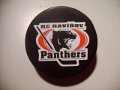 havirov_panthers
