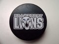 frankfurt_lions
