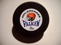 heilbronner_falken