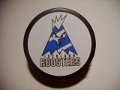 iserlohn_roosters_3