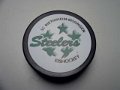 steelers_bissingen