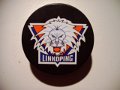 linkoping_2