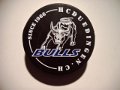 duedingen_bulls