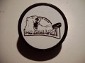 eisbaren_st_gallen