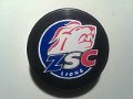 zsc_lion_3