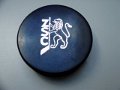 zsc_lions