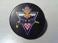croatian_bull