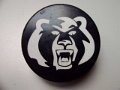 knoxville_ice_bears_1
