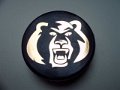 knoxville_ice_bears_2