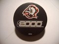 2000_buffalo