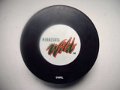 a_minnesota_wild