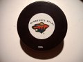 a_minnesota_wild_3