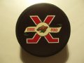 minnesota_wild_31