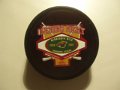 minnesota_wild_35