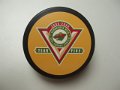 minnesota_wild_37