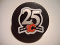 Calgary Flames