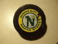 Minnesota North Stars