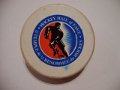hockey_hall_of_fame_2