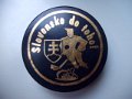 slovensko_do_toho