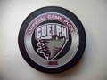 ohl_guelphi