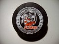 alvinston_flyers