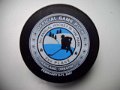 ashland_hockey_in_the_park_2