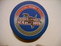 ashley_valley_raptors