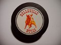 bellieve_bulls
