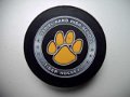daniel_hand_tiger_hockey