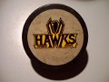 hawks
