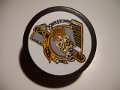 johnstown_chiefs_2