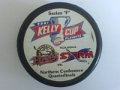 kelly_cup_2001_playoff_2