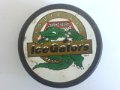 louisiana_ice_gators
