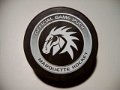 marquette_hockey