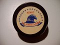 minot_americans