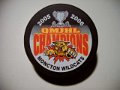 moncton_wildcats