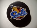 orlando_seals