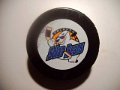 orlando_solar_bears_1