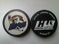 orlando_solar_bears_4