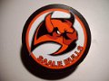 saale_bulls