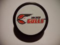 san_diego_gulls