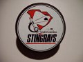 south_carolina_stingrays