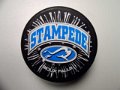stampede