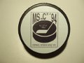ms_1994_pool_c